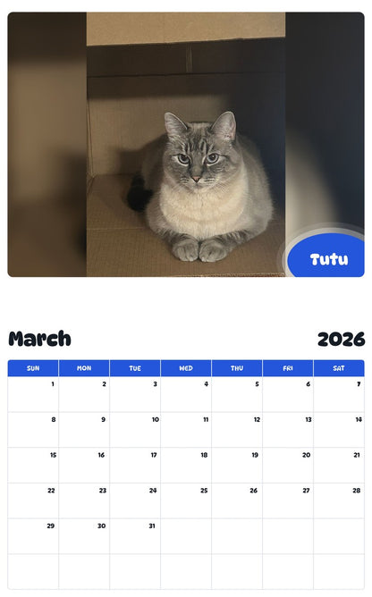 November 2025 - October 2026 Tutu - Pawidols Pet Calendar