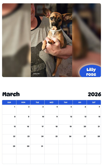 November 2025 - October 2026 Lilly rose - Pawidols Pet Calendar