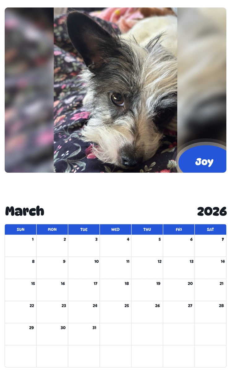 November 2025 - October 2026 Joy - Pawidols Pet Calendar