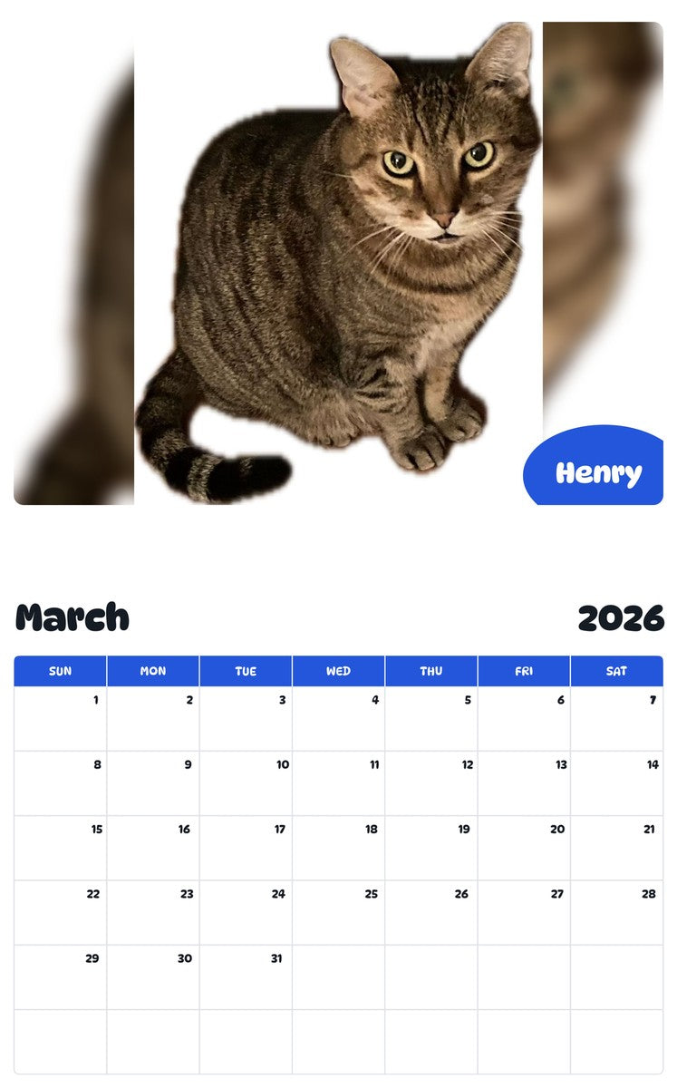 November 2025 - October 2026 Henry - Pawidols Pet Calendar