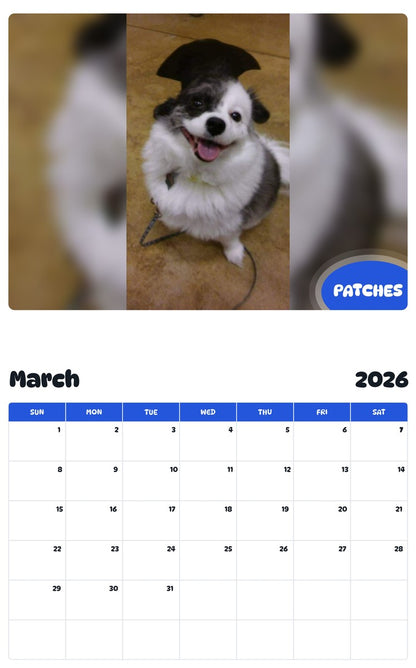 November 2025 - October 2026 PATCHES - Pawidols Pet Calendar