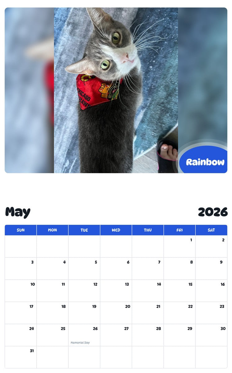 2026 - 2027 Rainbow - Pawidols Pet Calendar
