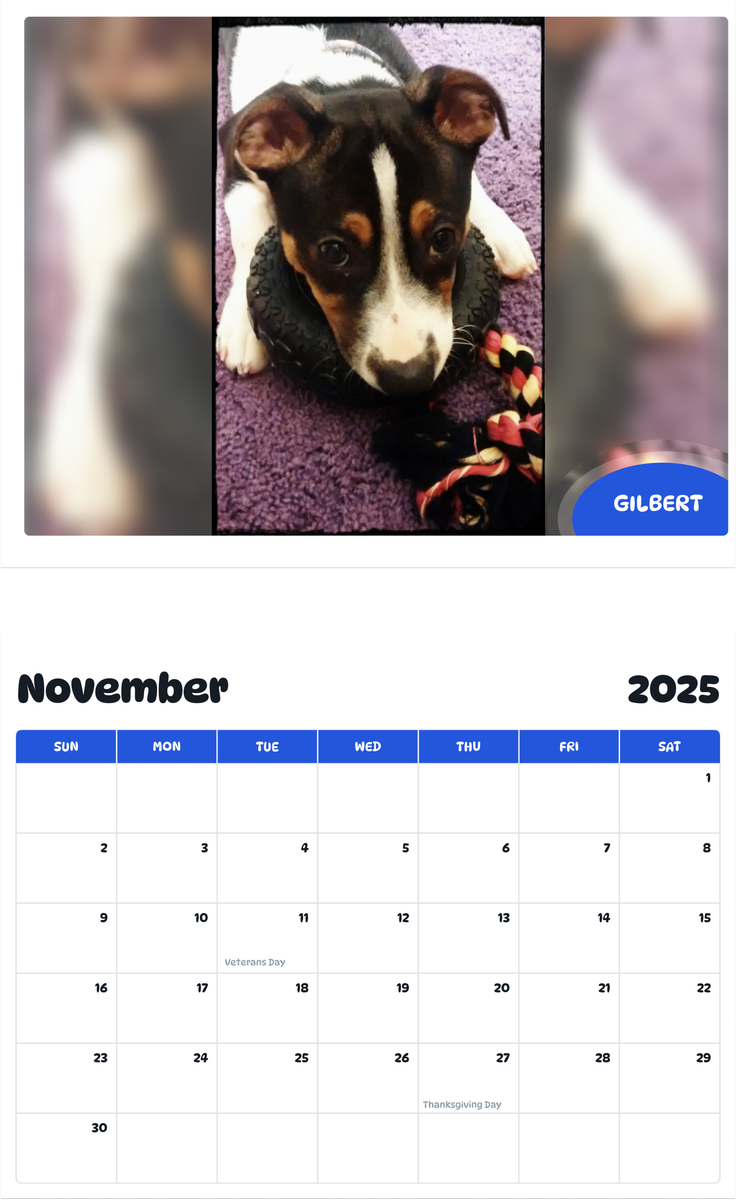 July 2025 - June 2026 Gilbert - Pawidols Pet Calendar