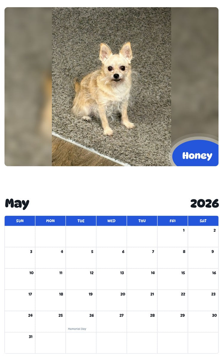 2026 - 2027 Honey - Pawidols Pet Calendar