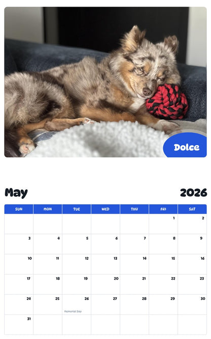 2026 - 2027 Dolce - Pawidols Pet Calendar