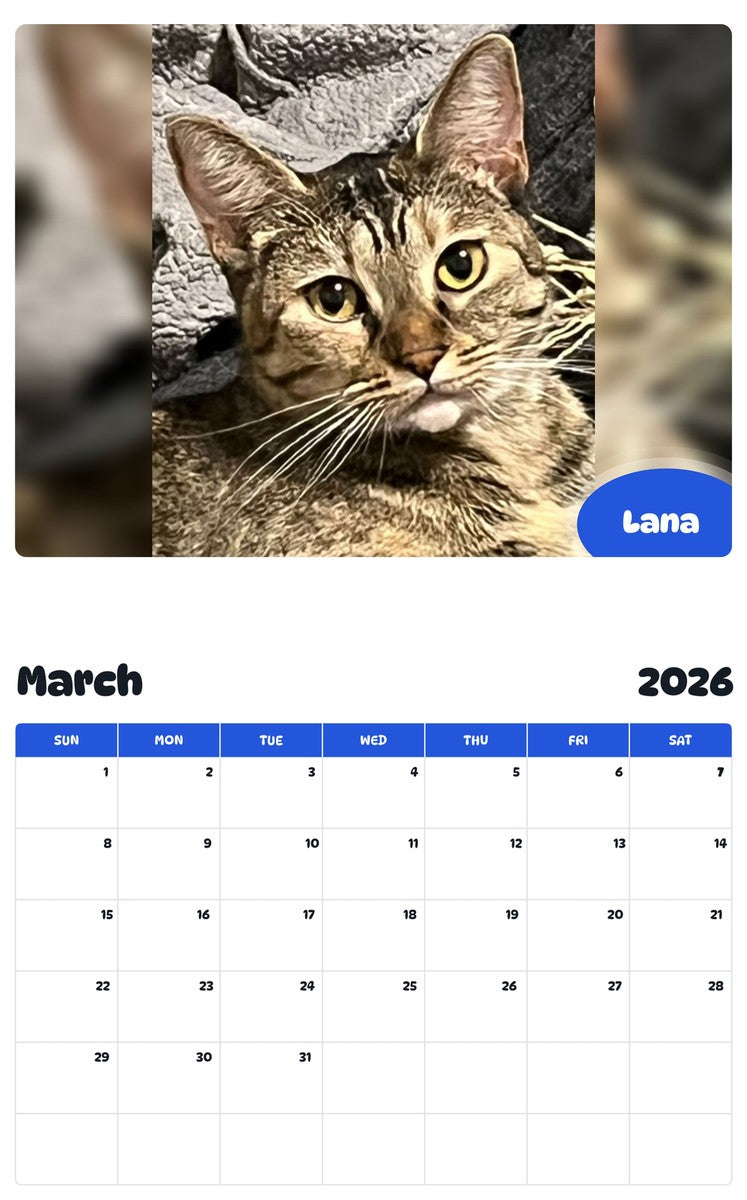 November 2025 - October 2026 Lana - Pawidols Pet Calendar