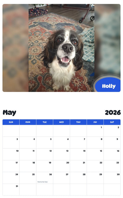 2026 - 2027 Holly - Pawidols Pet Calendar