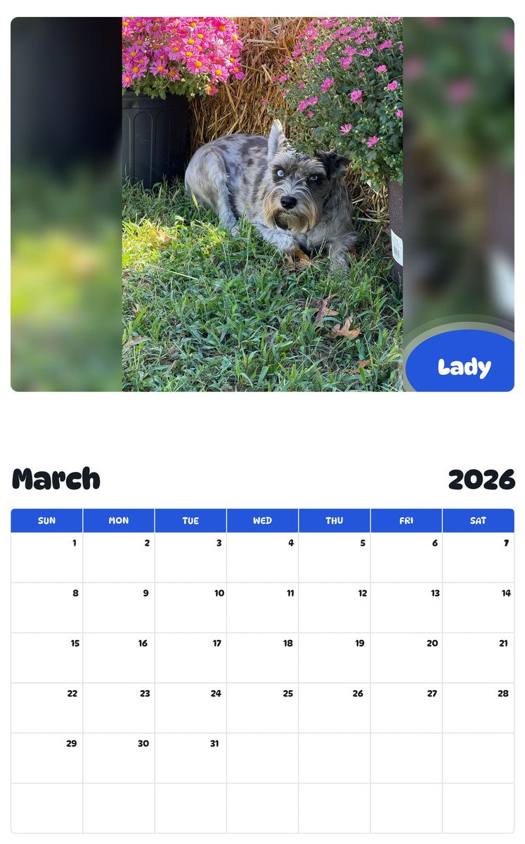 November 2025 - October 2026 Lady - Pawidols Pet Calendar