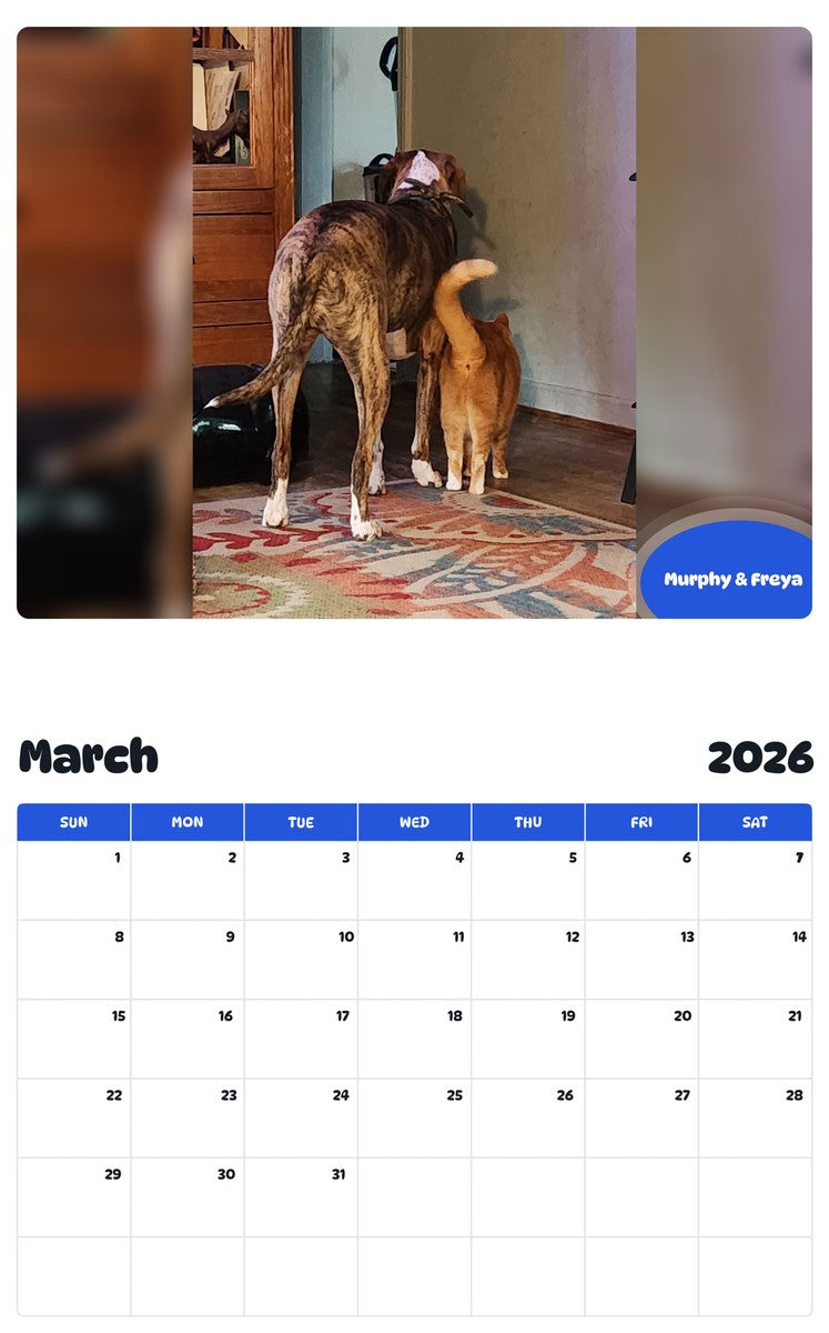 November 2025 - October 2026 Murphy & Freya - Pawidols Pet Calendar