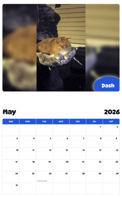 2026 - 2027 Dash - Pawidols Pet Calendar