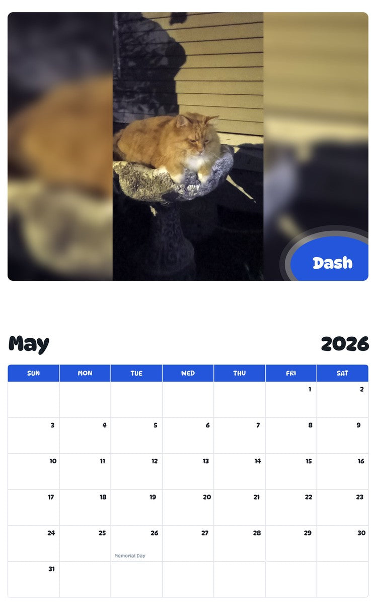 2026 - 2027 Dash - Pawidols Pet Calendar