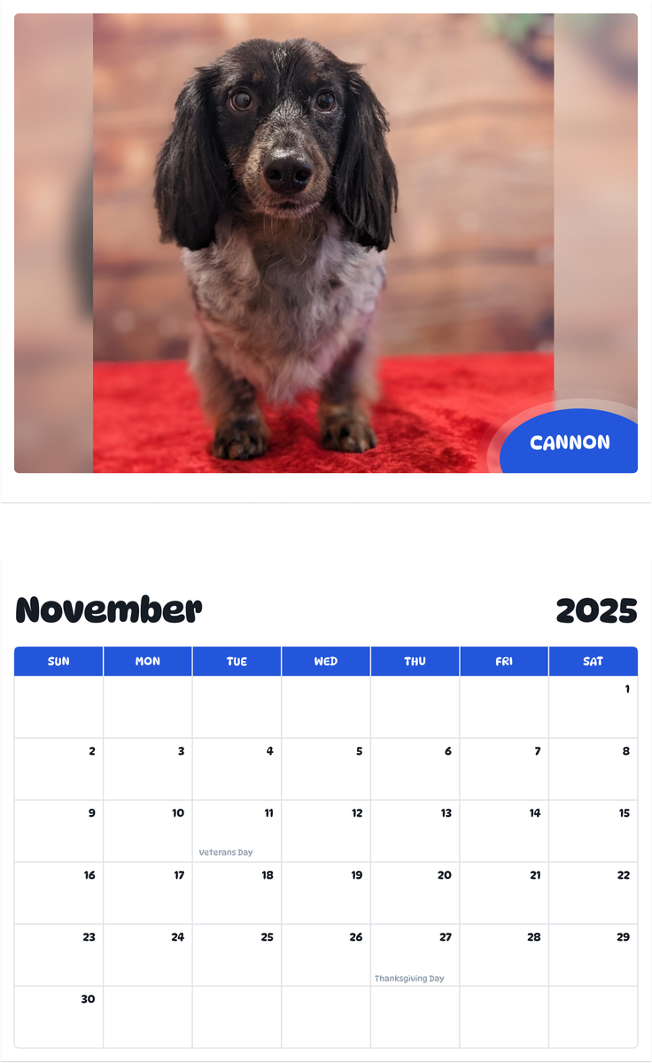 July 2025 - June 2026 Cannon - Pawidols Pet Calendar