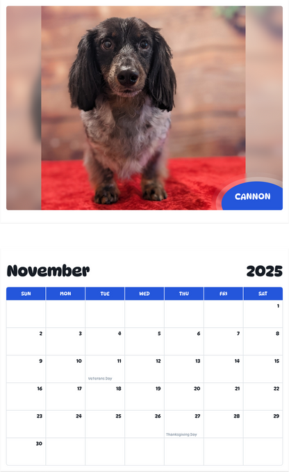 July 2025 - June 2026 Cannon - Pawidols Pet Calendar