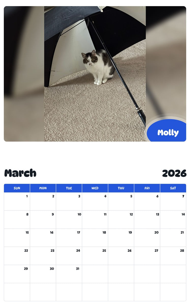 November 2025 - October 2026 Molly - Pawidols Pet Calendar