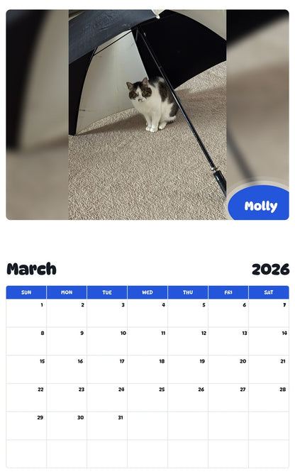 November 2025 - October 2026 Molly - Pawidols Pet Calendar