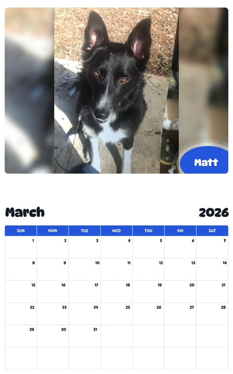 November 2025 - October 2026 Matt - Pawidols Pet Calendar