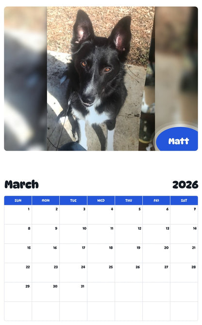 November 2025 - October 2026 Matt - Pawidols Pet Calendar