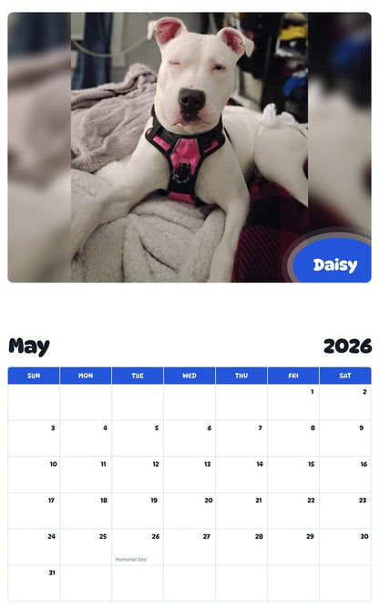 2026 - 2027 Daisy - Pawidols Pet Calendar