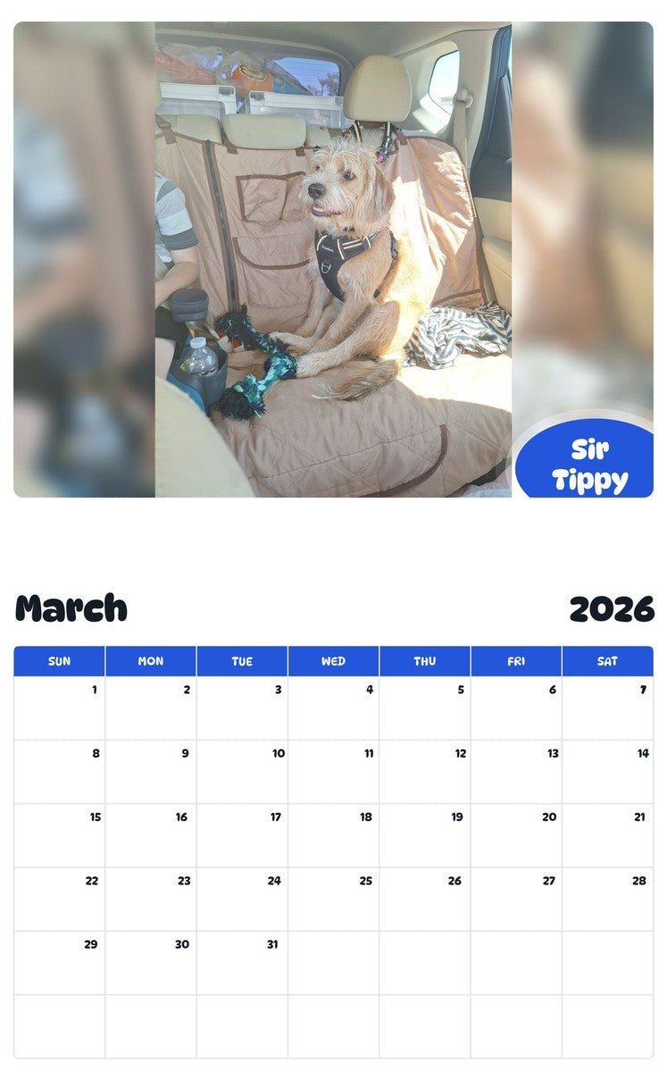 November 2025 - October 2026 Sir Tippy - Pawidols Pet Calendar