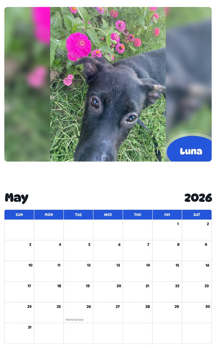 2026 - 2027 Luna - Pawidols Pet Calendar