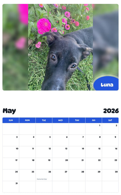 2026 - 2027 Luna - Pawidols Pet Calendar