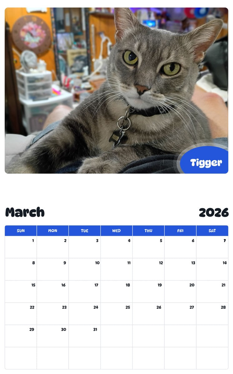 November 2025 - October 2026 Tigger - Pawidols Pet Calendar