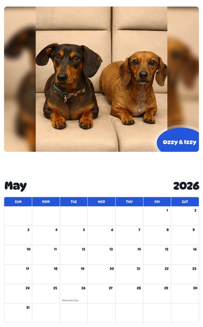 2026 - 2027 Ozzy & Izzy - Pawidols Pet Calendar