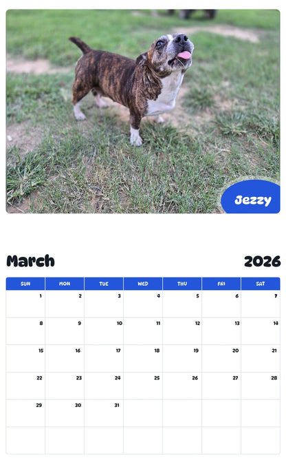 November 2025 - October 2026 Jezzy - Pawidols Pet Calendar