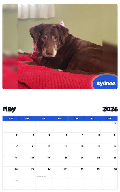 2026 - 2027 Sydnee - Pawidols Pet Calendar