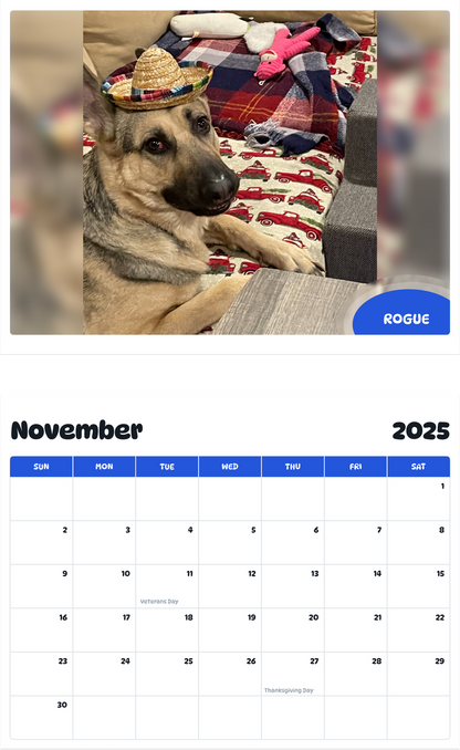 July 2025 - June 2026 Rogue - Pawidols Pet Calendar