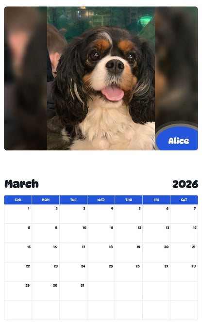 November 2025 - October 2026 Alice - Pawidols Pet Calendar