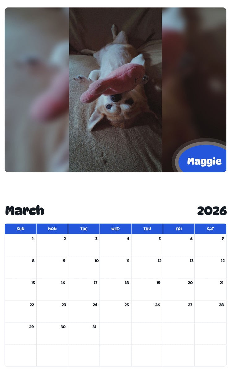 November 2025 - October 2026 Maggie - Pawidols Pet Calendar