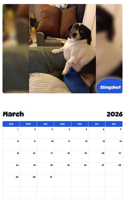 November 2025 - October 2026 Slingshot - Pawidols Pet Calendar