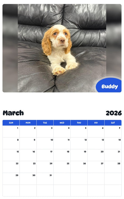 November 2025 - October 2026 Buddy - Pawidols Pet Calendar