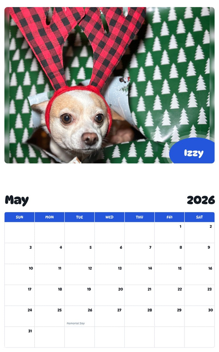 2026 - 2027 Izzy - Pawidols Pet Calendar
