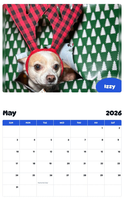 2026 - 2027 Izzy - Pawidols Pet Calendar