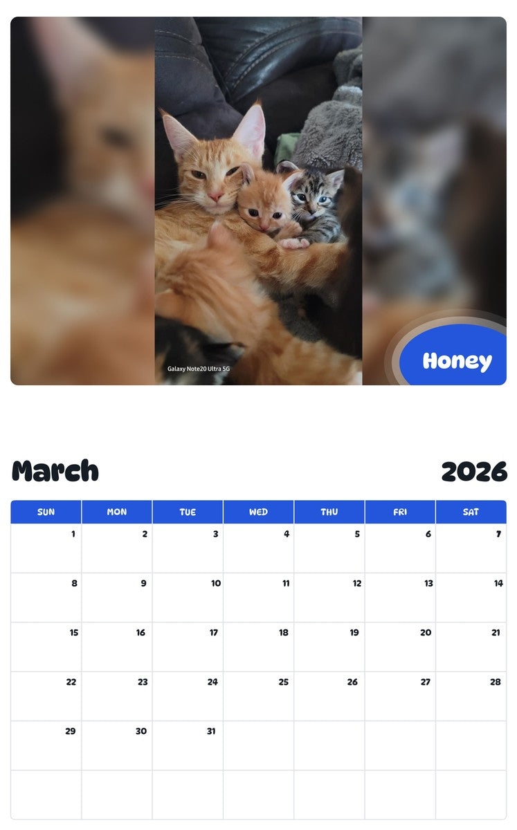 November 2025 - October 2026 Honey - Pawidols Pet Calendar