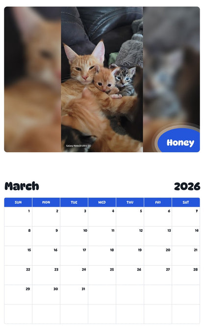 November 2025 - October 2026 Honey - Pawidols Pet Calendar