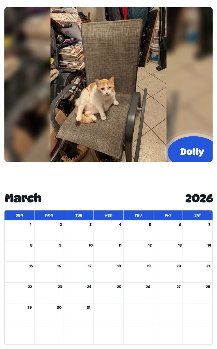 November 2025 - October 2026 Dolly - Pawidols Pet Calendar