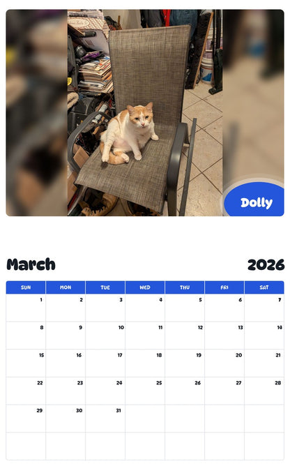 November 2025 - October 2026 Dolly - Pawidols Pet Calendar