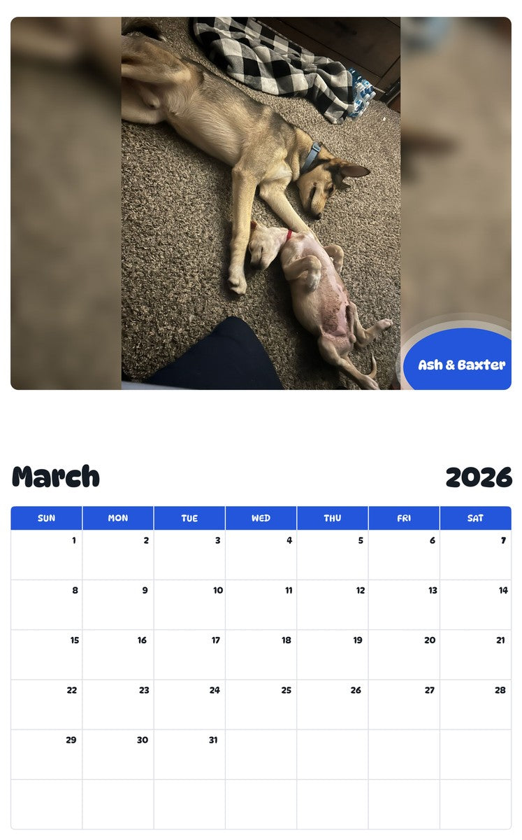 November 2025 - October 2026 Ash & Baxter - Pawidols Pet Calendar