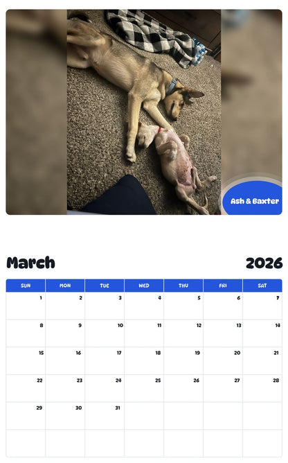 November 2025 - October 2026 Ash & Baxter - Pawidols Pet Calendar