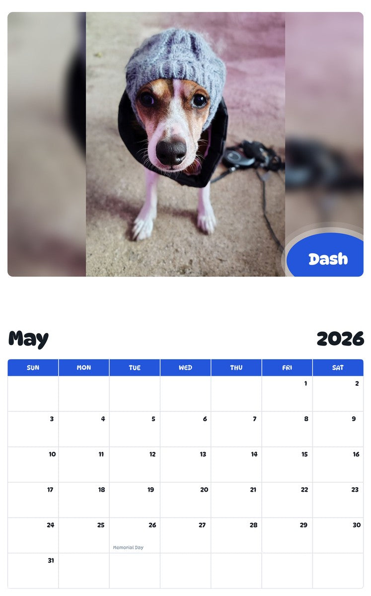 2026 - 2027 Dash - Pawidols Pet Calendar