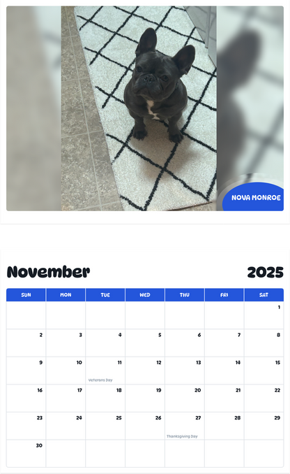 July 2025 - June 2026 Nova Monroe - Pawidols Pet Calendar