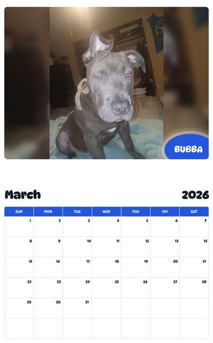 November 2025 - October 2026 BUBBA - Pawidols Pet Calendar