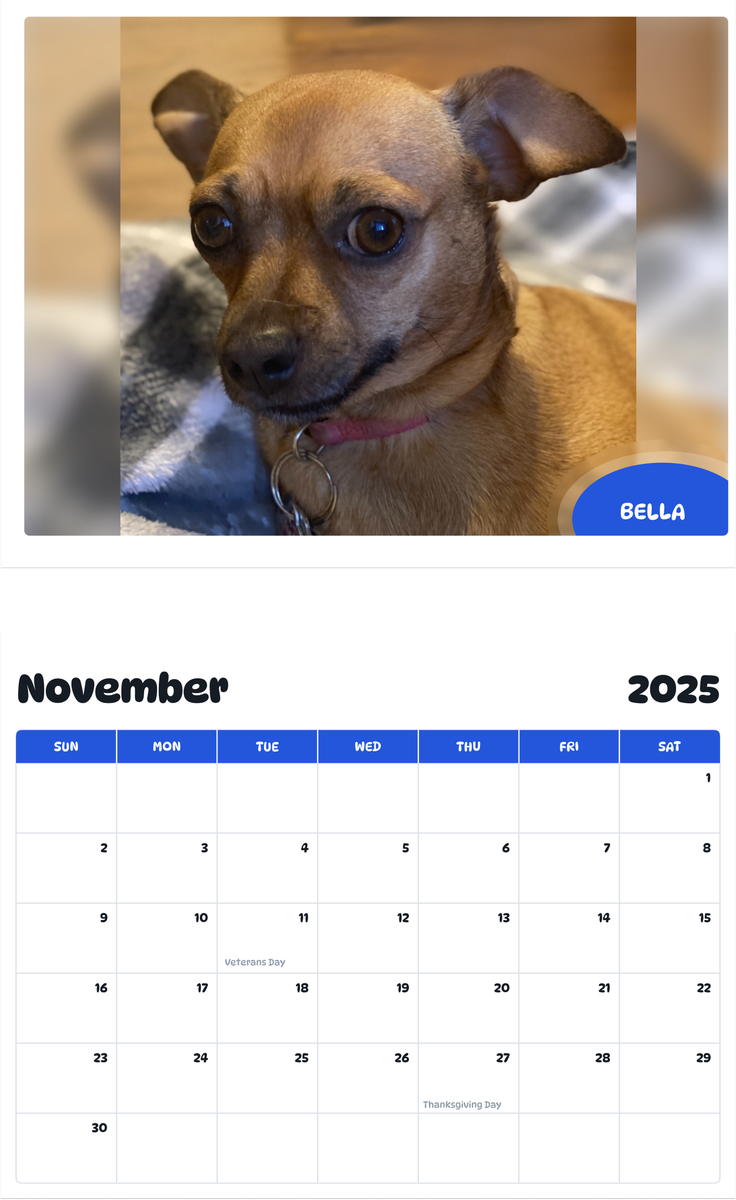 July 2025 - June 2026 Bella - Pawidols Pet Calendar