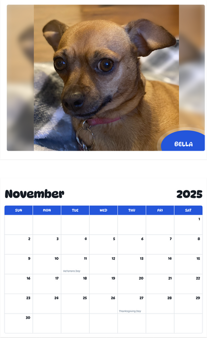 July 2025 - June 2026 Bella - Pawidols Pet Calendar