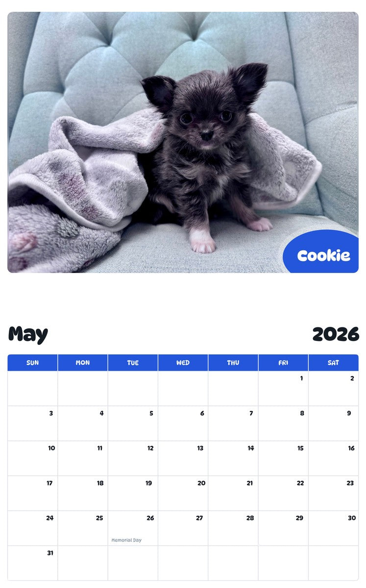 2026 - 2027 Cookie - Pawidols Pet Calendar