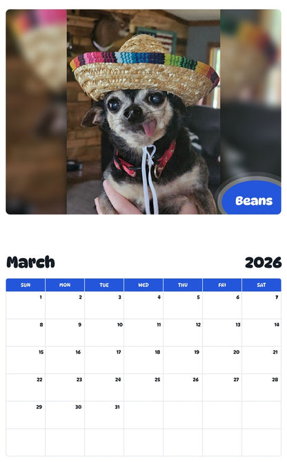 November 2025 - October 2026 Beans - Pawidols Pet Calendar