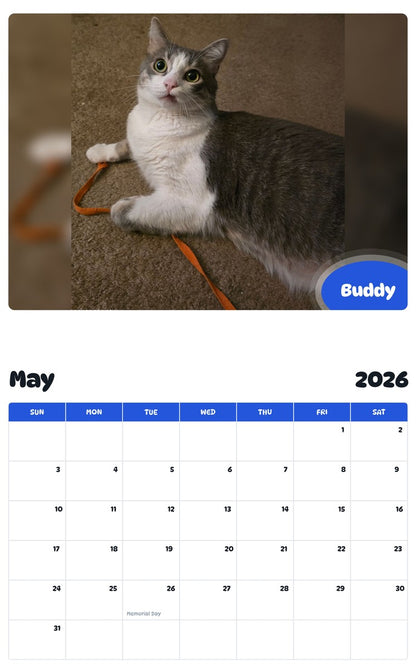 2026 - 2027 Buddy - Pawidols Pet Calendar